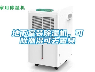 企業(yè)新聞地下室裝除濕機，可除潮濕可去霉臭