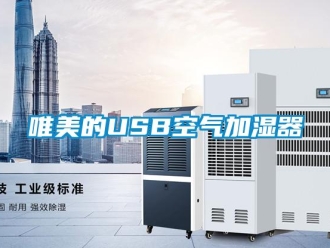 知識(shí)百科唯美的USB空氣加濕器
