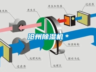 企業新聞滄州除濕機＊
