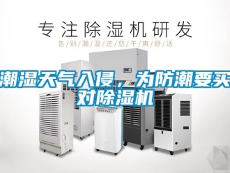 企業新聞潮濕天氣入侵，為防潮要買對除濕機