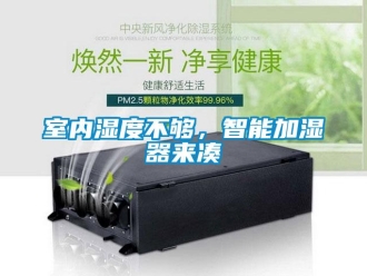 知識百科室內(nèi)濕度不夠，智能加濕器來湊