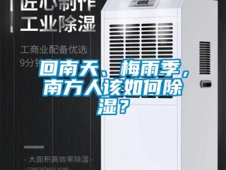 常見問題回南天、梅雨季，南方人該如何除濕？