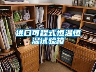 知識(shí)百科進(jìn)口可程式恒溫恒濕試驗(yàn)箱