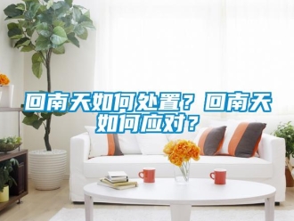 常見問題回南天如何處置？回南天如何應對？