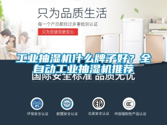 企業(yè)新聞工業(yè)抽濕機(jī)什么牌子好？全自動(dòng)工業(yè)抽濕機(jī)推薦