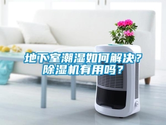 常見問題地下室潮濕如何解決？除濕機有用嗎？