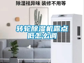 常見問題轉輪除濕機露點低怎么調