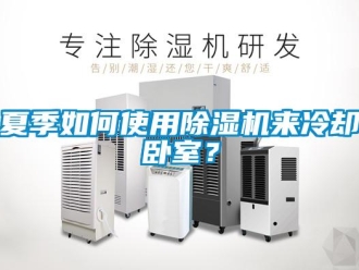 常見問題夏季如何使用除濕機來冷卻臥室？