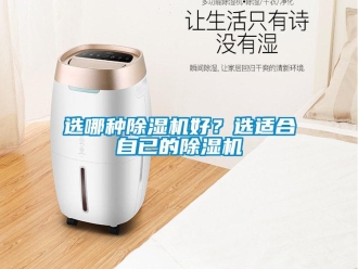 知識百科選哪種除濕機好？選適合自已的除濕機