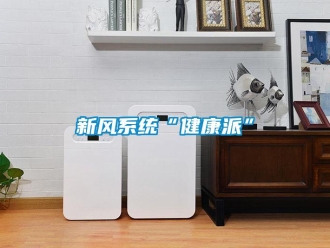 知識百科新風系統“健康派”