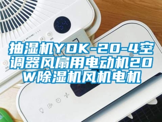 企業(yè)新聞抽濕機(jī)YDK-20-4空調(diào)器風(fēng)扇用電動(dòng)機(jī)20W除濕機(jī)風(fēng)機(jī)電機(jī)
