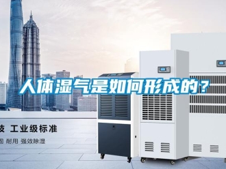 常見問題人體濕氣是如何形成的？