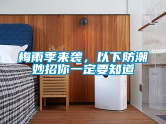 常見(jiàn)問(wèn)題梅雨季來(lái)襲，以下防潮妙招你一定要知道