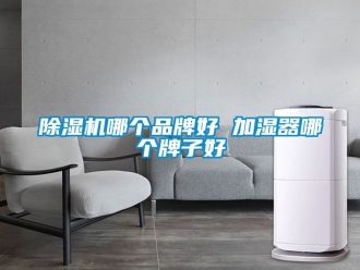 企業新聞除濕機哪個品牌好 加濕器哪個牌子好
