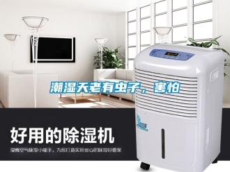 企業(yè)新聞潮濕天老有蟲子，害怕
