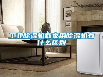 企業新聞工業除濕機和家用除濕機有什么區別