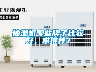 企業(yè)新聞抽濕機(jī)哪些牌子比較好，求推薦？