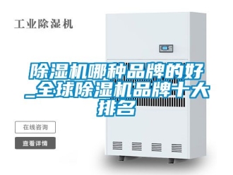 企業(yè)新聞除濕機哪種品牌的好_全球除濕機品牌十大排名