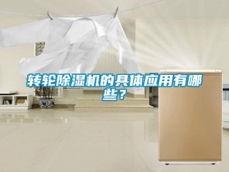 知識百科轉(zhuǎn)輪除濕機的具體應(yīng)用有哪些？