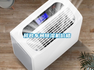 企業(yè)新聞碎片車間除濕機價格