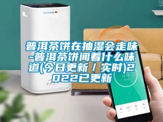 企業(yè)新聞普洱茶餅在抽濕會走味-普洱茶餅聞著什么味道(今日更新／實時)2022已更新
