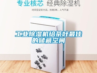 企業(yè)新聞工業(yè)除濕機(jī)給茶葉最佳的儲藏空間