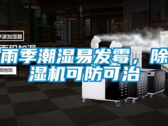 知識百科雨季潮濕易發霉，除濕機可防可治