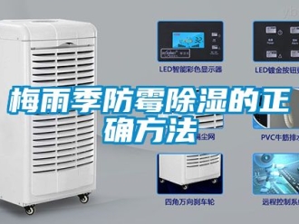 企業(yè)新聞梅雨季防霉除濕的正確方法