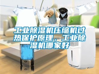常見問題工業(yè)除濕機(jī)壓縮機(jī)過熱保護(hù)原理，工業(yè)除濕機(jī)哪家好