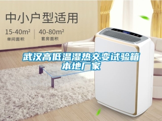 常見(jiàn)問(wèn)題武漢高低溫濕熱交變?cè)囼?yàn)箱本地廠家