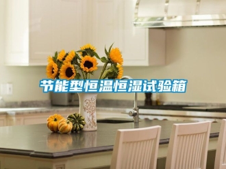 知識百科節(jié)能型恒溫恒濕試驗箱