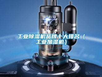 常見問(wèn)題工業(yè)除濕機(jī)品牌十大排名（工業(yè)加濕機(jī)）