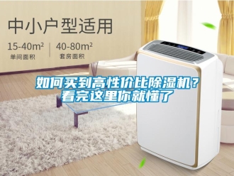 常見問題如何買到高性價比除濕機？看完這里你就懂了
