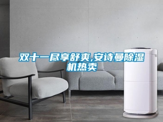 企業(yè)新聞雙十一盡享舒爽,安詩曼除濕機(jī)熱賣