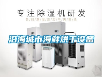 知識百科沿海城市海鮮烘干設備