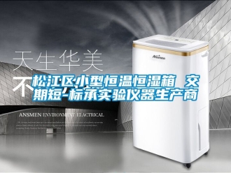 知識百科松江區小型恒溫恒濕箱 交期短-標承實驗儀器生產商