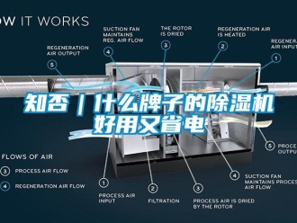 知識百科知否｜什么牌子的除濕機(jī)好用又省電