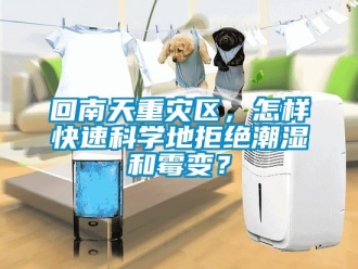 常見問題回南天重災區，怎樣快速科學地拒絕潮濕和霉變？