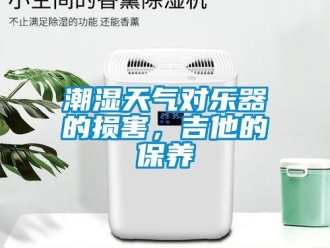 企業新聞潮濕天氣對樂器的損害，吉他的保養