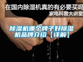 企業(yè)新聞除濕機哪個牌子好除濕機品牌介紹【詳解】