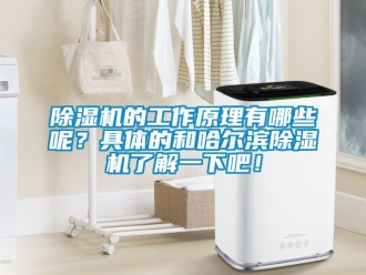 企業新聞除濕機的工作原理有哪些呢？具體的和哈爾濱除濕機了解一下吧！