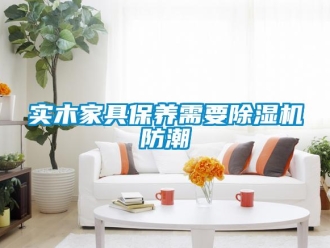 知識百科實木家具保養(yǎng)需要除濕機(jī)防潮