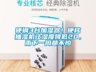 企業(yè)新聞硬鋼3臺加濕器！硬核抽濕機讓濕度降低20，雨下一周都不怕
