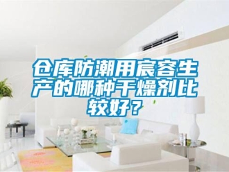 企業(yè)新聞倉庫防潮用宸容生產(chǎn)的哪種干燥劑比較好？