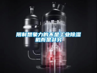 知識(shí)百科限制想象力的不是工業(yè)除濕機(jī)而是貧窮