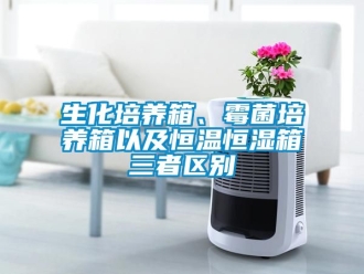 知識百科生化培養箱、霉菌培養箱以及恒溫恒濕箱三者區別