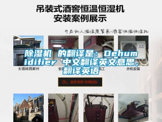 企業(yè)新聞除濕機(jī) 的翻譯是：Dehumidifier 中文翻譯英文意思，翻譯英語(yǔ)