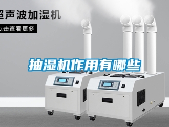 企業新聞抽濕機作用有哪些