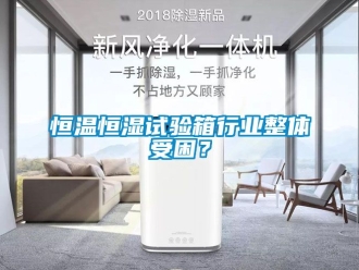 知識百科恒溫恒濕試驗箱行業整體受困？