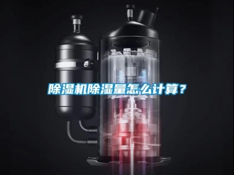 企業(yè)新聞除濕機(jī)除濕量怎么計算？